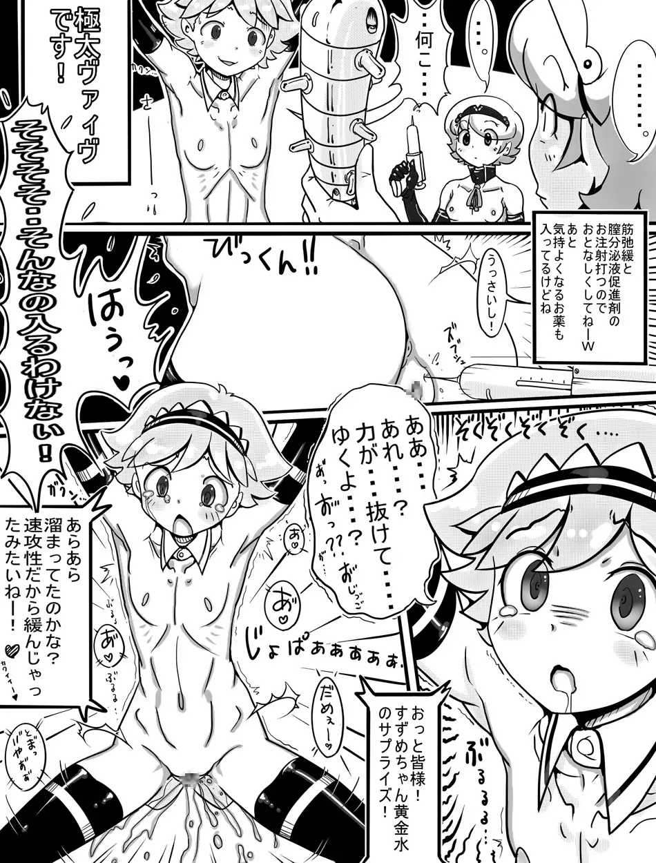 AOAKUA 'ELUA porno goods labratory Annual Report 2012