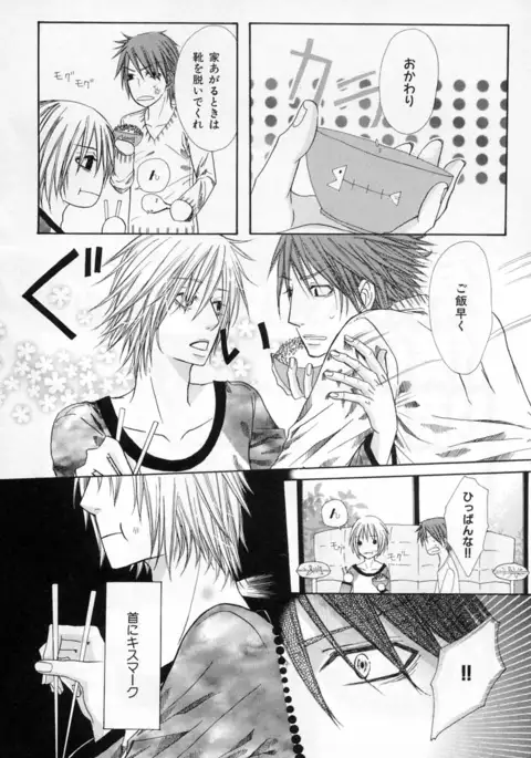 b-BOY Phoenix Vol.4 Seikantai Tokushuu