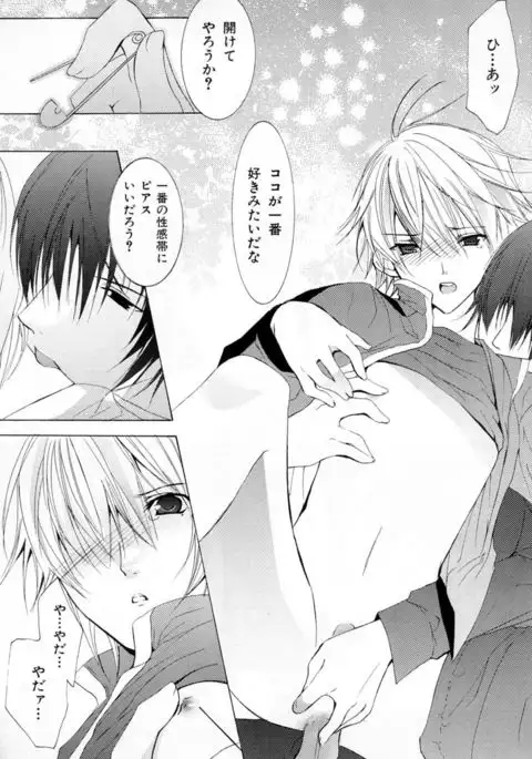 b-BOY Phoenix Vol.4 Seikantai Tokushuu