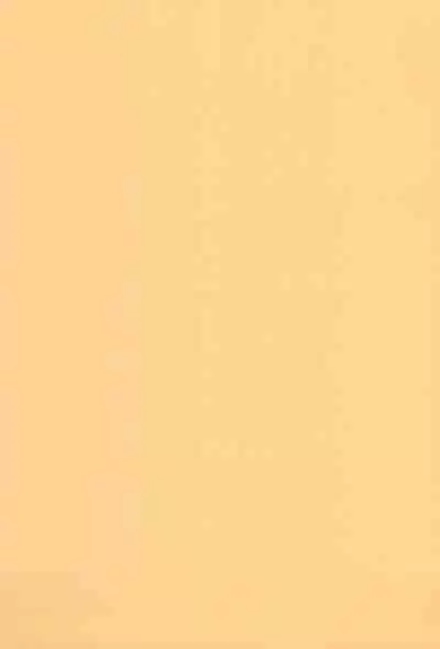 [O.RIginal brand (O.RI)] CELVARG3 (ENG) =CBS=