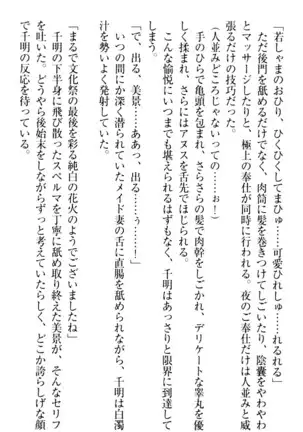 年上メイドの新婚日記