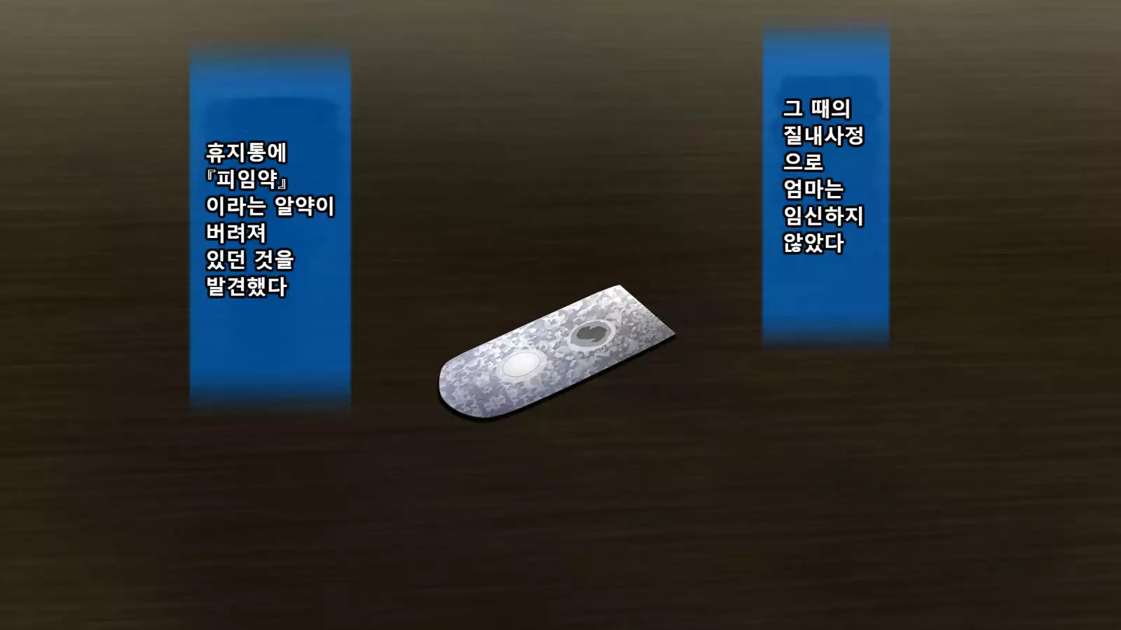 Boshi Soukan Ga Nichijouka Shita Oyako...Sannengo, Haha O Haramaseta Musuko