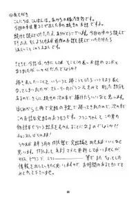 (C79) [Akachi (Enno Syouta)] Flan Yonbun no Ichi 2 (Touhou Project)