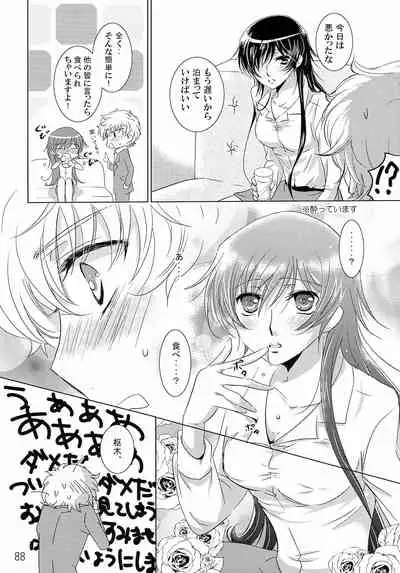 (C79) [Anmitsu (Various)] Feliz Coumpleanos (CODE GEASS: Lelouch of the Rebellion)