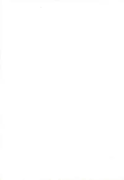 (C64) [Shiritsu Sakuranbo Shougakkou (Misooden)] Ore no Natsuyasumi 2