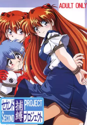 (CR36) [Thirty Saver Street 2D Shooting (Maki Hideto, Sawara Kazumitsu)] Second Hobaku Project (Neon Genesis Evangelion) [Digital]