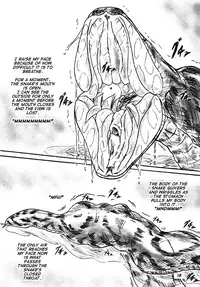 [Sumomo Dou] Bibi Anbetsu 32 [English] [Anonymous]