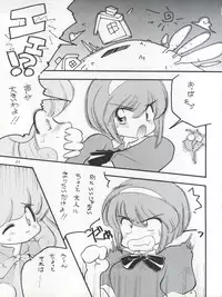 FLOWER VICTIM II EURI EDITION