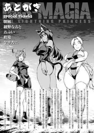 Raikou Shinki Igis Magia IV