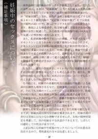 [Koga Ryouhei] PrelfIllust No3 HighComics