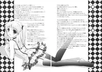 [Morisaki Kurumi] Precious Shokai Genteiban