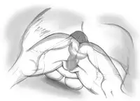 [pink-noise (Mizuiro Megane)] Holy&Beast ~Seijo to Ookami~ (Queen's Blade)