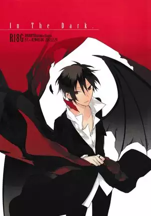 In The Dark -durarara doujinshi-