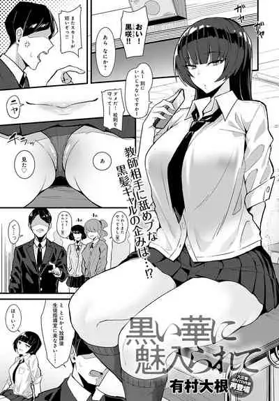 COMIC Anthurium 2022-04