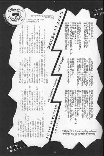 「Hyaena、Sunday」Maybe You Are The Cat In The Paper Bag | 你大概是纸袋里的猫