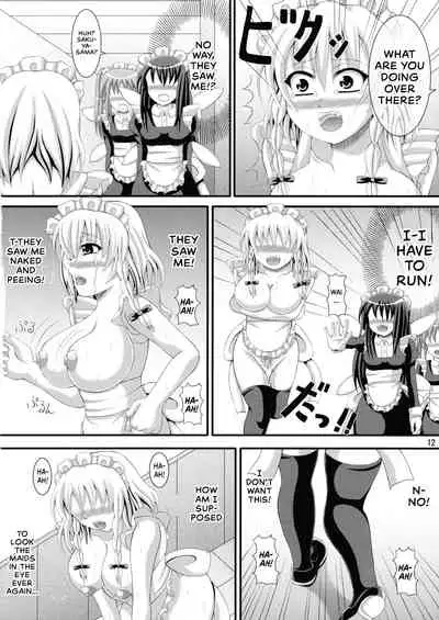 Go Houshi Meido Sayuka