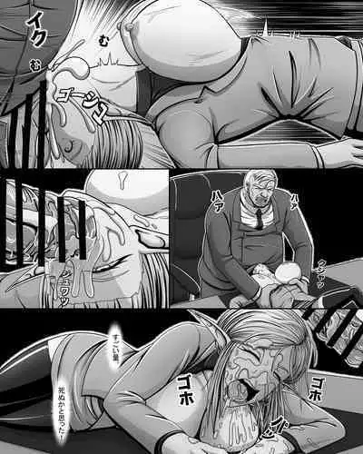 Yōsei Tokushū: Shichō no Himitsu