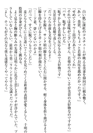 年上メイドの新婚日記