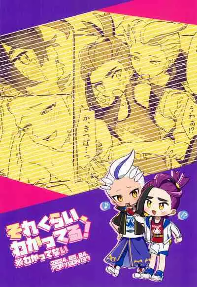 Sore Kurai, Wakatteru! ※ Wakattenai