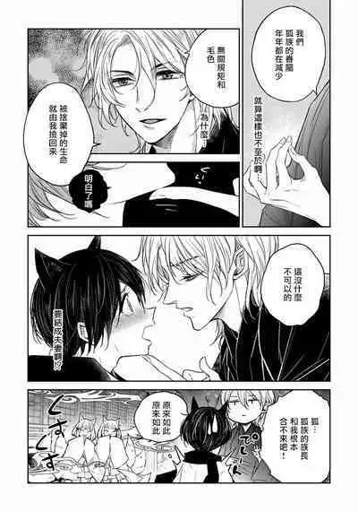 Itoshii Ano Kitsune o Metoritai | 想娶那只可爱狐狸 01-04