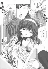 [Kamogawa Tanuki] ELEMENTS