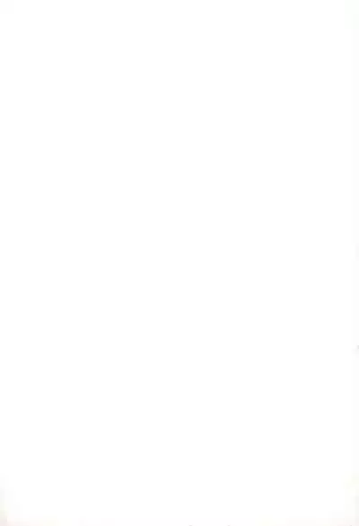 (C64) [Shiritsu Sakuranbo Shougakkou (Misooden)] Ore no Natsuyasumi 2