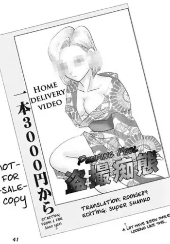 Dragonball Z: Delivery Home Video [English]