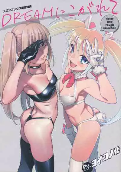 DREAM ni Kogarete - Longing For a Dream Tokuten Leaflet