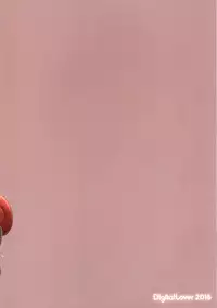 (C91) [Digital Lover (Nakajima Yuka)] D.L. action 112 (Girls und Panzer)