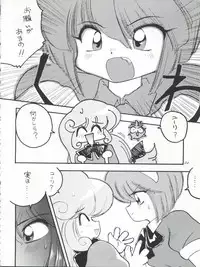 FLOWER VICTIM II EURI EDITION