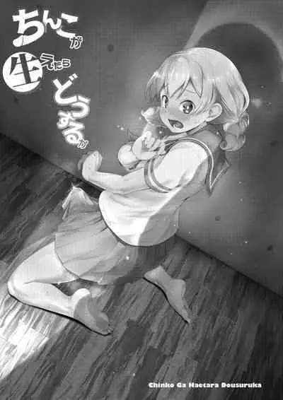 Chinko ga Haetara Dou Suru ka