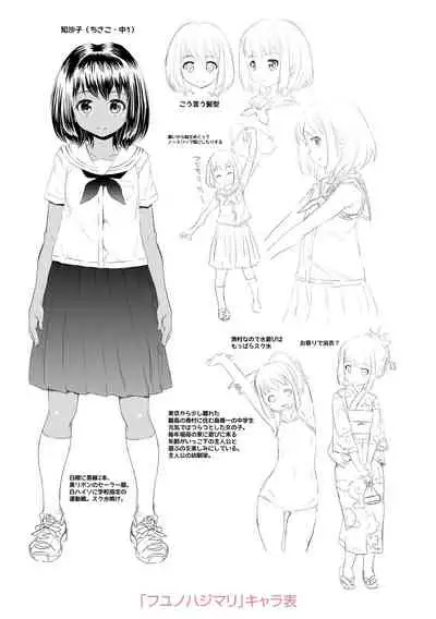 Soutaisei Virgin Theory