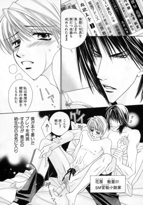 b-BOY Phoenix Vol.4 Seikantai Tokushuu