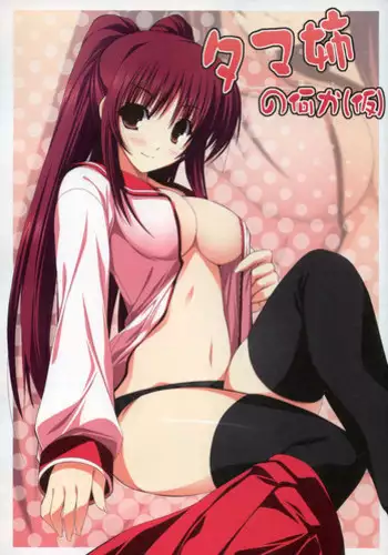 (C73) [RADIANT (Yuuki Makoto)] Tama-nee no Nanika(Kari) (ToHeart 2) [English] [Slayerjammer]