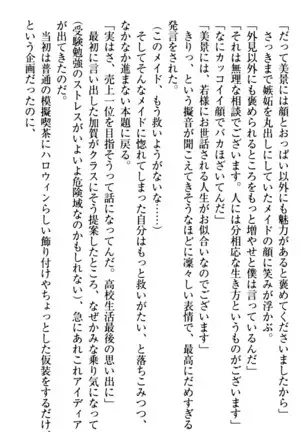 年上メイドの新婚日記