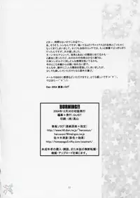 (C67) [GUST (Harukaze Soyogu)] BURNING!! (Mobile Suit Gundam Seed Destiny) [English] [SaHa]