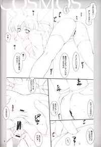 (C71) [Lili Marleen (Kinohara Hikaru)] COSMOS (Mahou Shoujo Lyrical Nanoha)