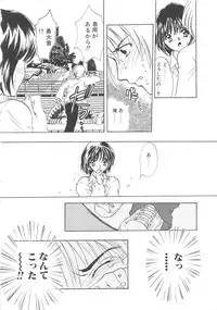 [Shimao Kazu] Charm Point