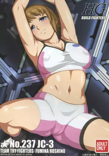 (C88) [AKKAN-Bi PROJECT (Yanagi Hirohiko)] No.237 JC-3 (Gundam Build Fighters Try)