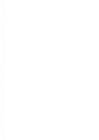 Omae Nanka Daikirai da Baaka! | 最讨厌你了笨蛋！