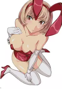 (C78) [Dairiseki (Hakaba)] Nikuyoku Aoki Jou (Bakuman) [English] [Chocolate]