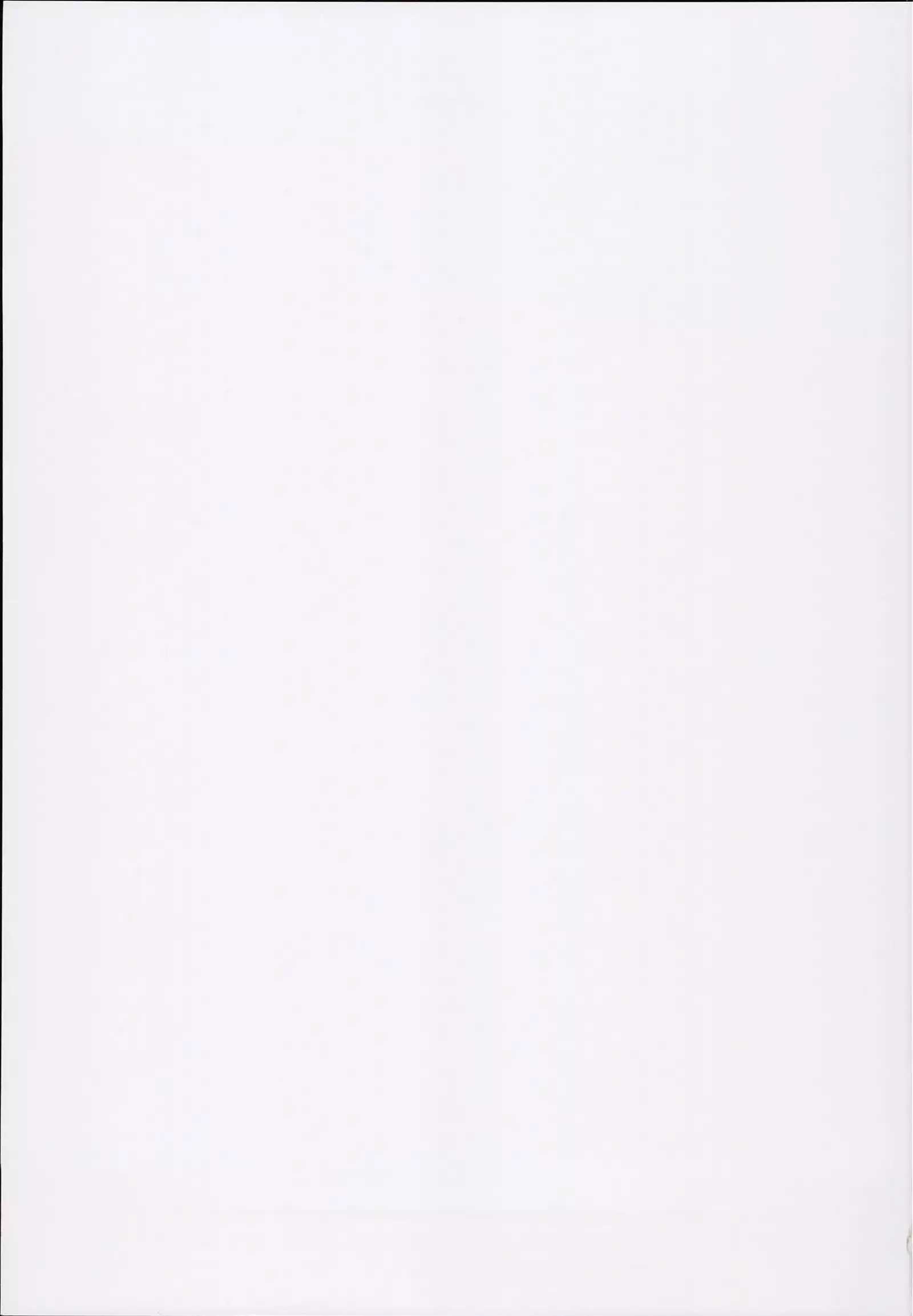 Hizamazuite Onameyo | 무릎을 꿇고 핥으세요