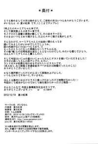 (C83) [Gainamon (Natsu no Koucha)] Nichijou Seikatsu - Rei - (Touhou Project)