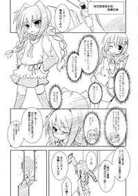 (SC40) [Einhorn (nio)] Sweet Honey Blossom (Mahou Shoujo Lyrical Nanoha A`s)