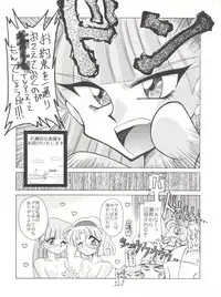 (C48) [豺狼出版 (J・さいろー)] 燕雀 Volume 1 (エルフ・１７、魔法騎士レイアース)