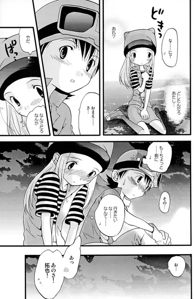 (C62) [Tomato Surprise (Futtsu Misaki)] Your Eyes Only (Digimon Frontier)