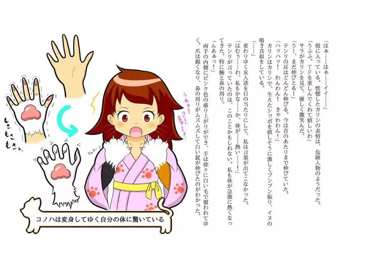 Kemo tan 1＠J-Chimera