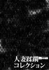 [Anthology] Cyberia Maniacs Hitozuma Juurin Collection Vol.2 [Digital]