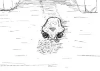 Spring's Blessing (chinese)