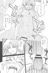 (C74) [Hannama (Serere)] Princess (Zero no Tsukaima)